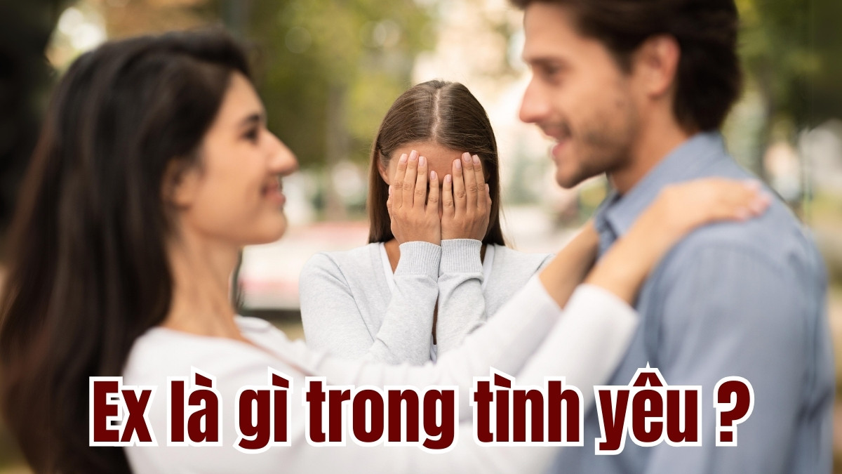 Ex Là Gì?